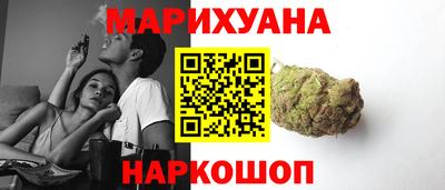 стафф Гай