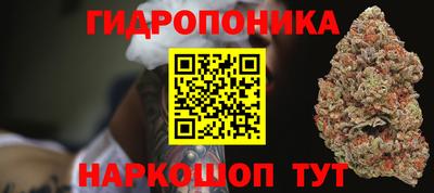 гидропоника Гатчина