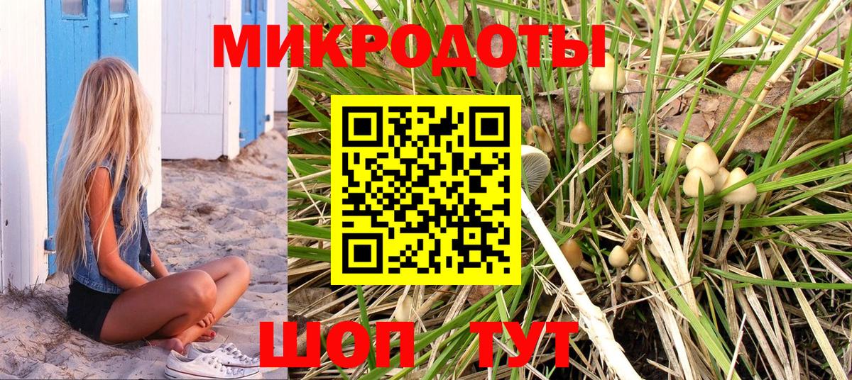 Галлюциногенные грибы GOLDEN TEACHER Ржев